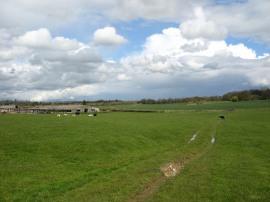 Field by Anvilles Farm