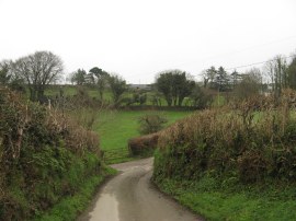 Lane leading out of St Neot
