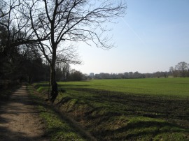 Fields approaching Watford