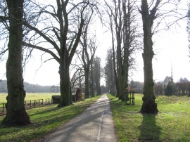 Driveway from Munden House